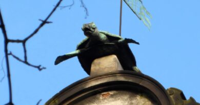 Wędrówki po Trójmieście część trzecia